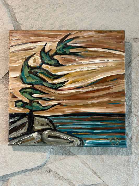 Windswept pine 1