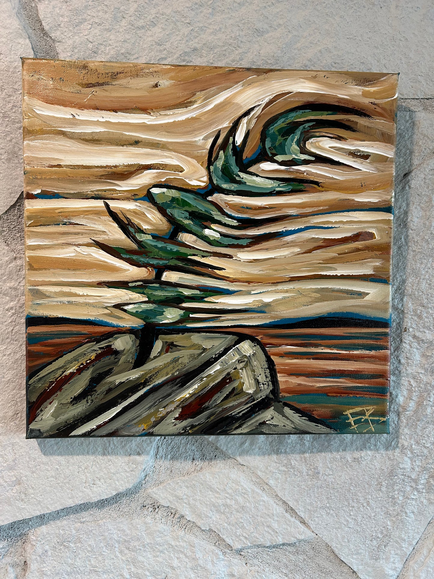 Windswept pine 2